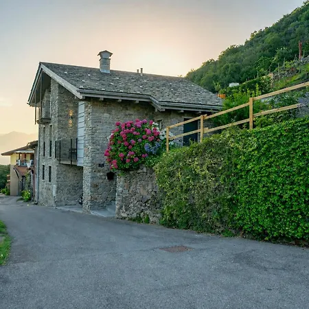 Orizzonte - Modern * Civo
